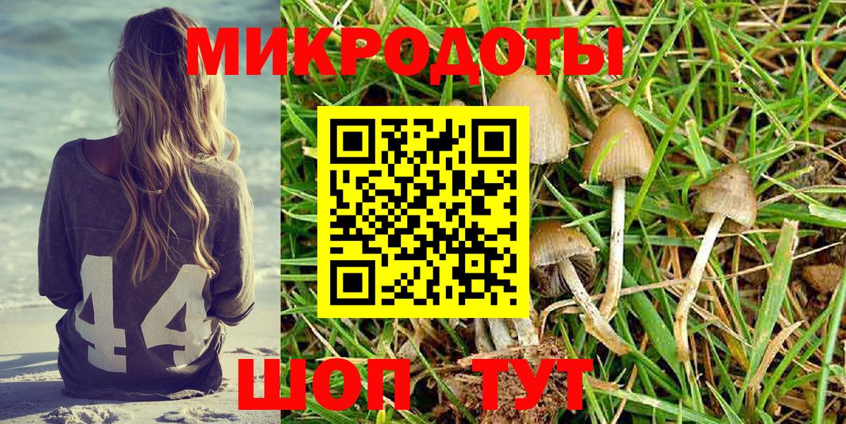 Людиново  Галлюциногенные грибы MAGIC MUSHROOMS  Вход с VPN  Галлюциногенные грибы Magic Shrooms 